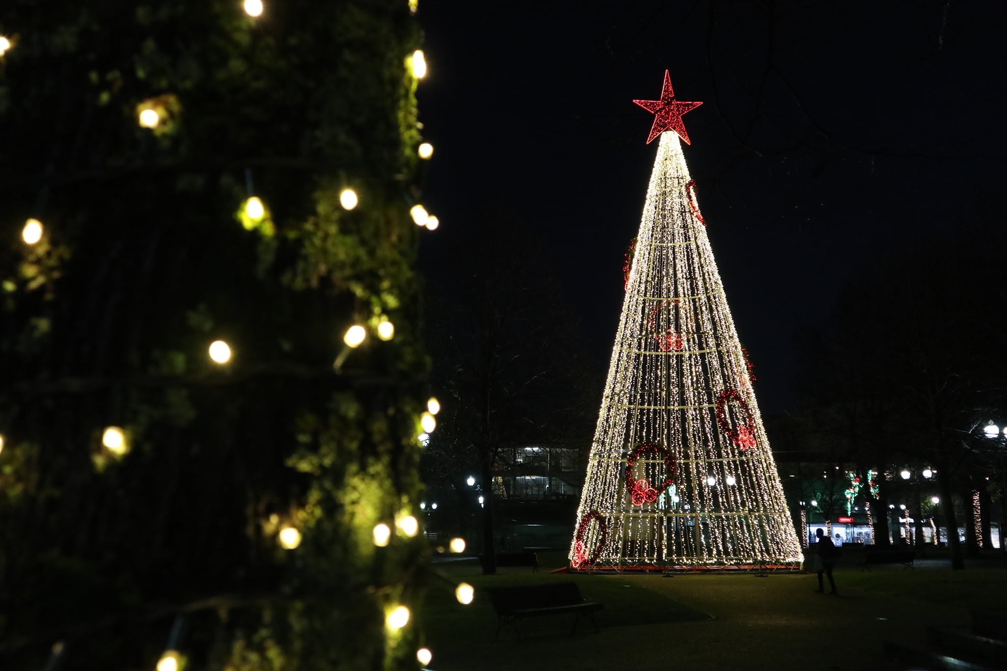 Árvore de Natal de Paredes vai desligar luzes mais cedo | Verdadeiro Olhar